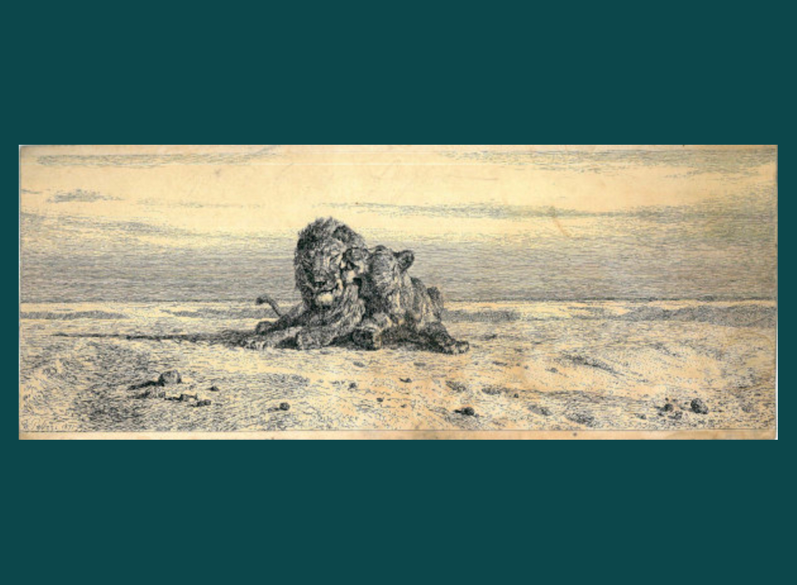 NEL DESERTO