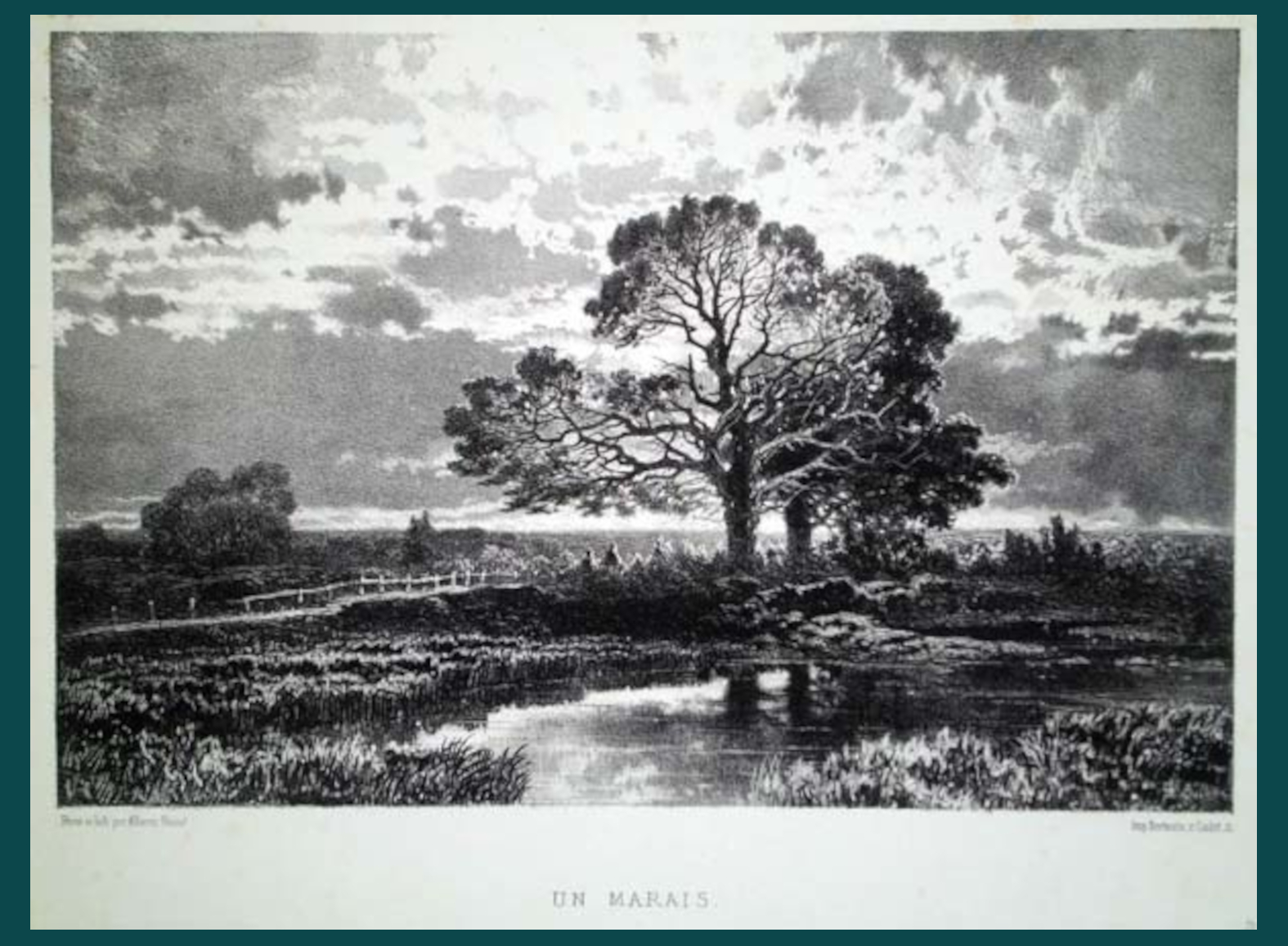UN MARAIS