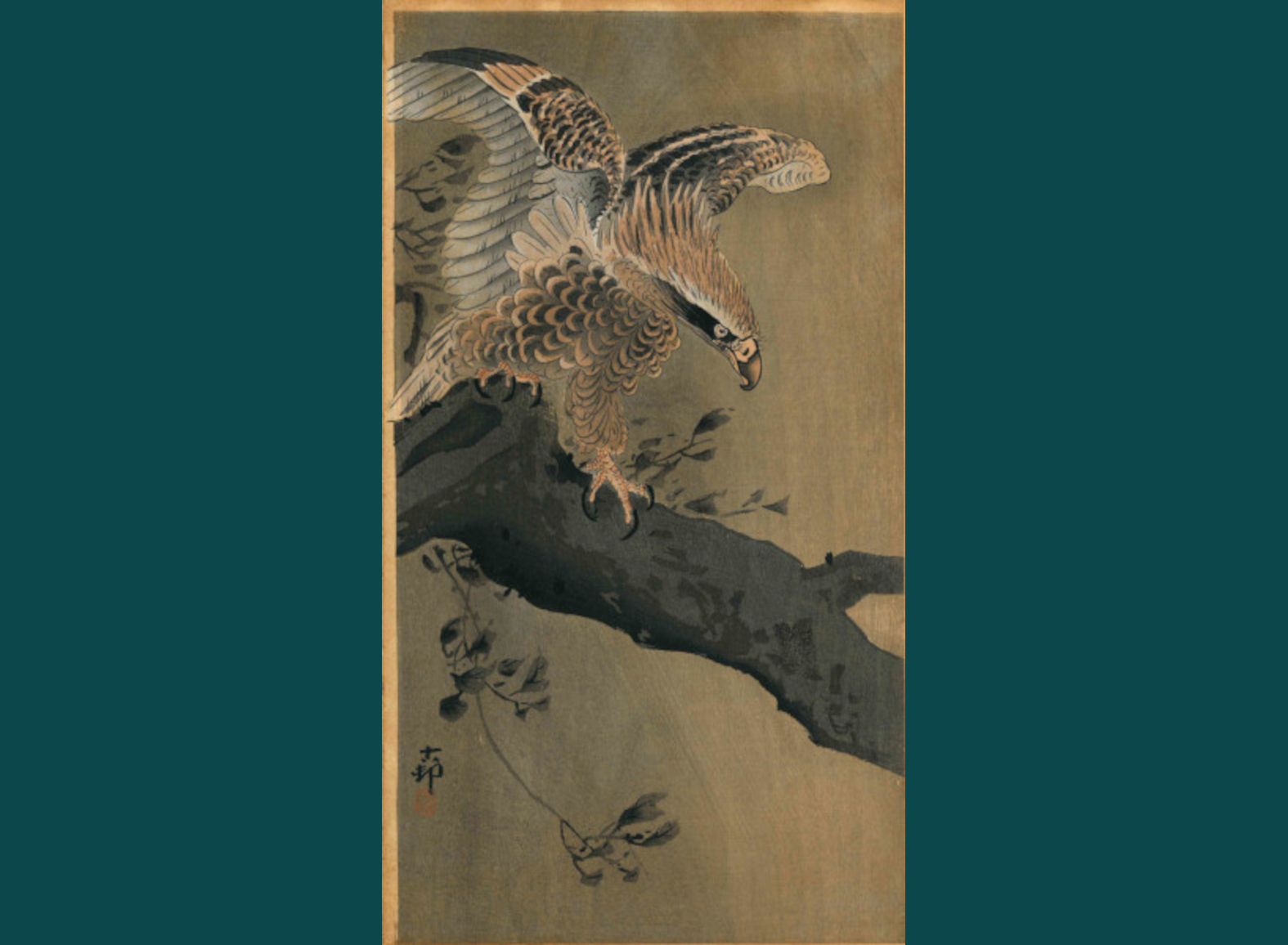 AQUILA, CON LE ALI SPIEGATE, SU UN TRONCO D'ALBERO