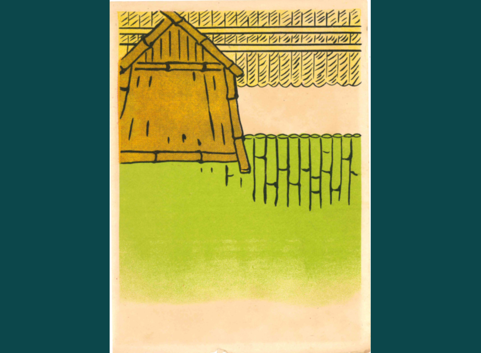 IL CAMPO