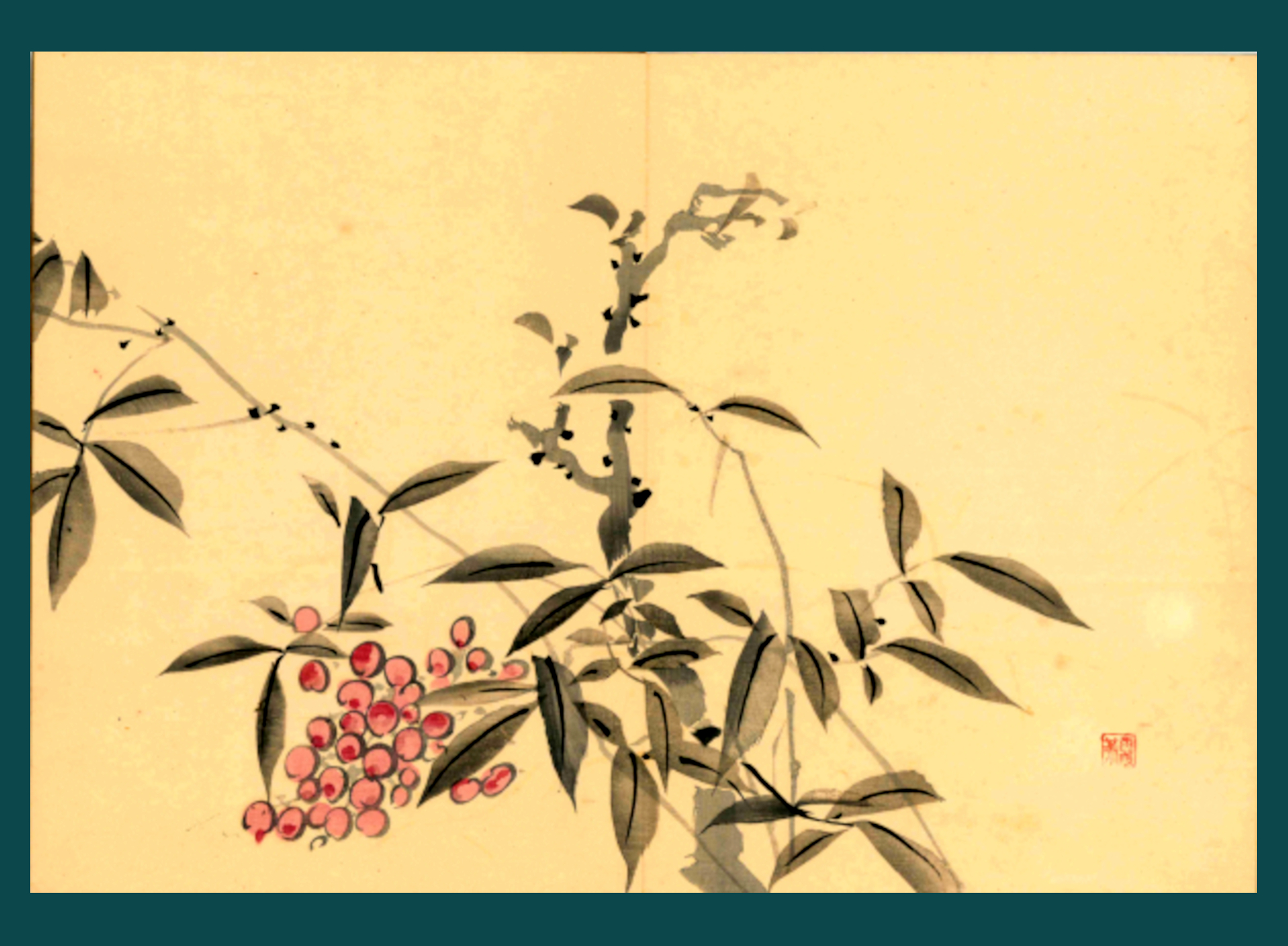 NANDINA DOMESTICA