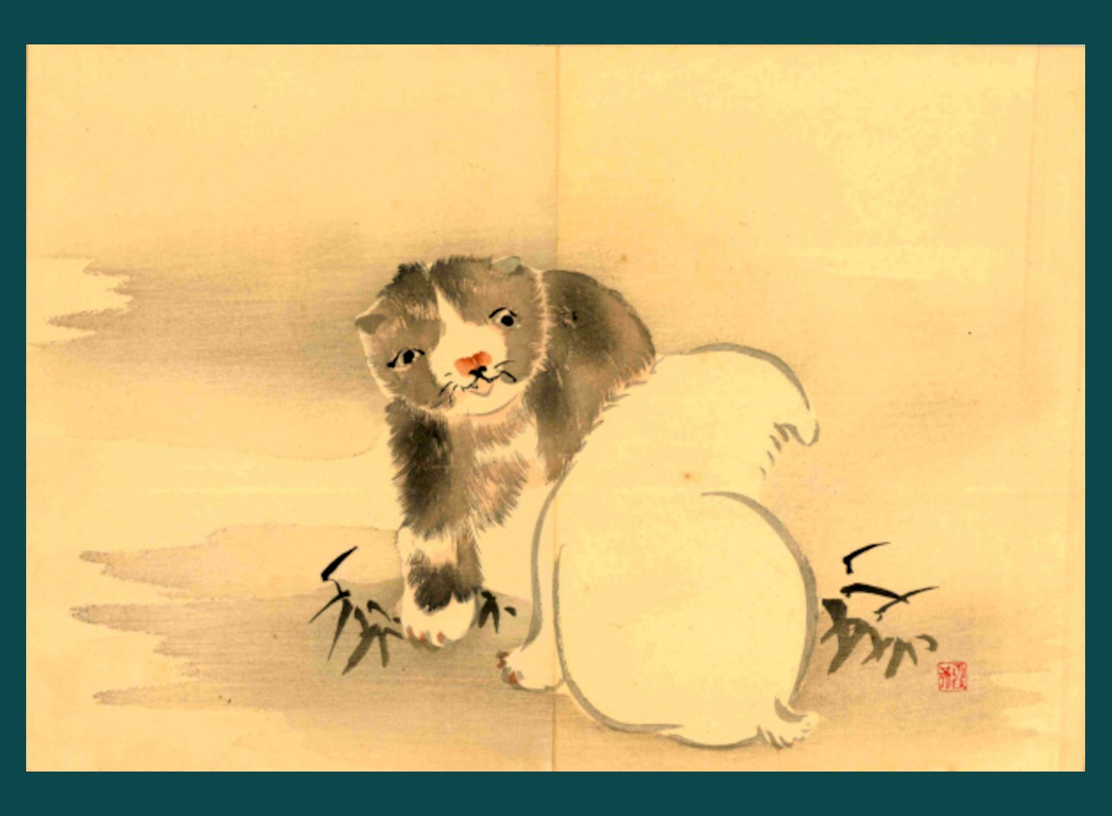 CUCCIOLI