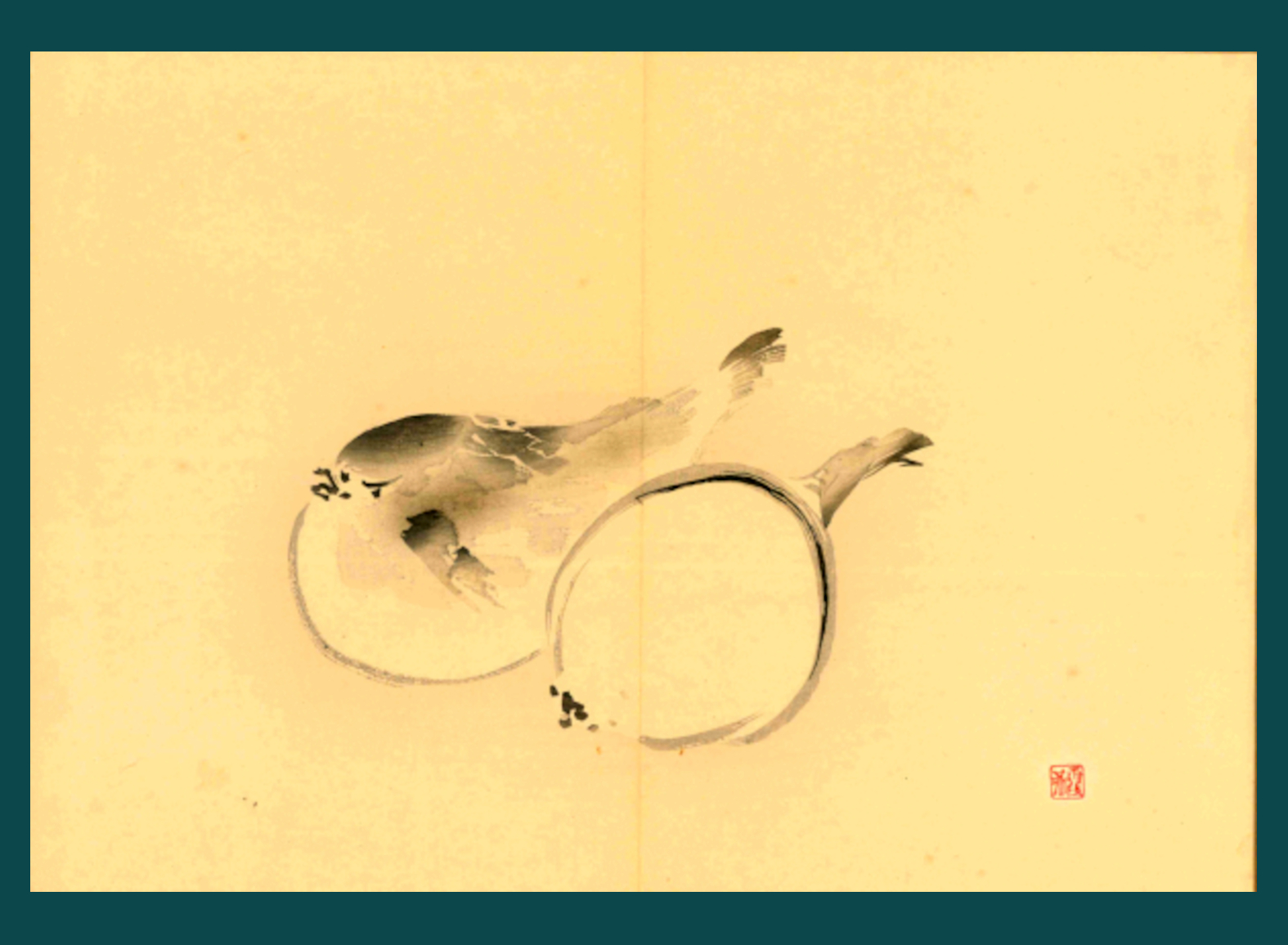 FUGU – PESCE PALLA
