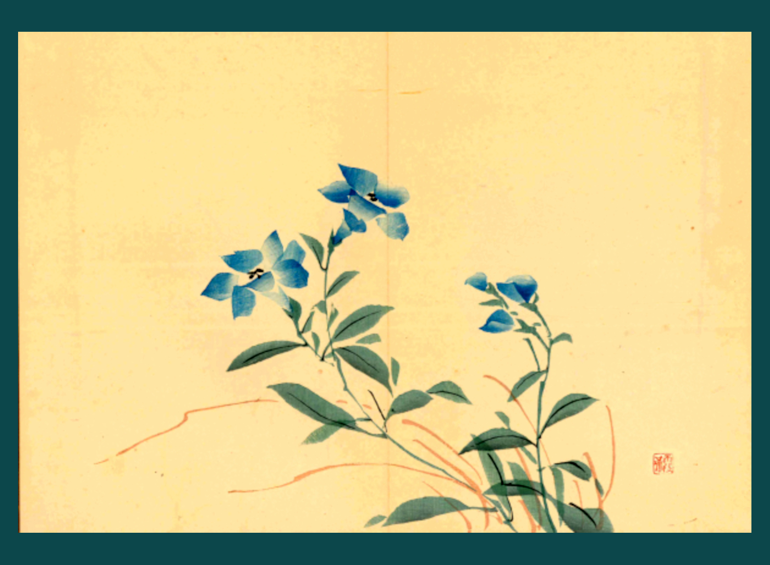 CAMPANULA