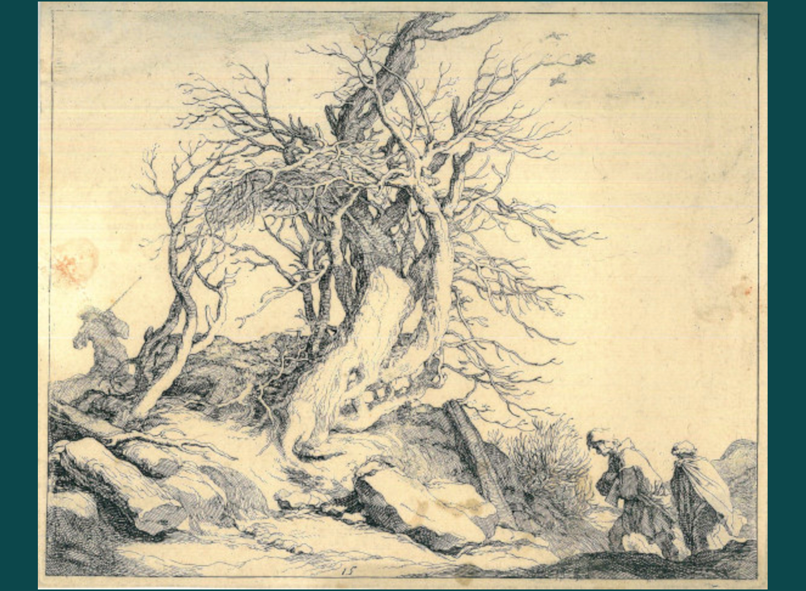 IL GRANDE ALBERO SPOGLIO